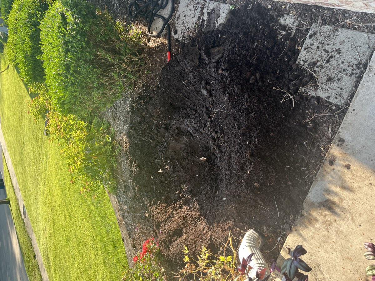 Cleared shrub bed after removal photo 1