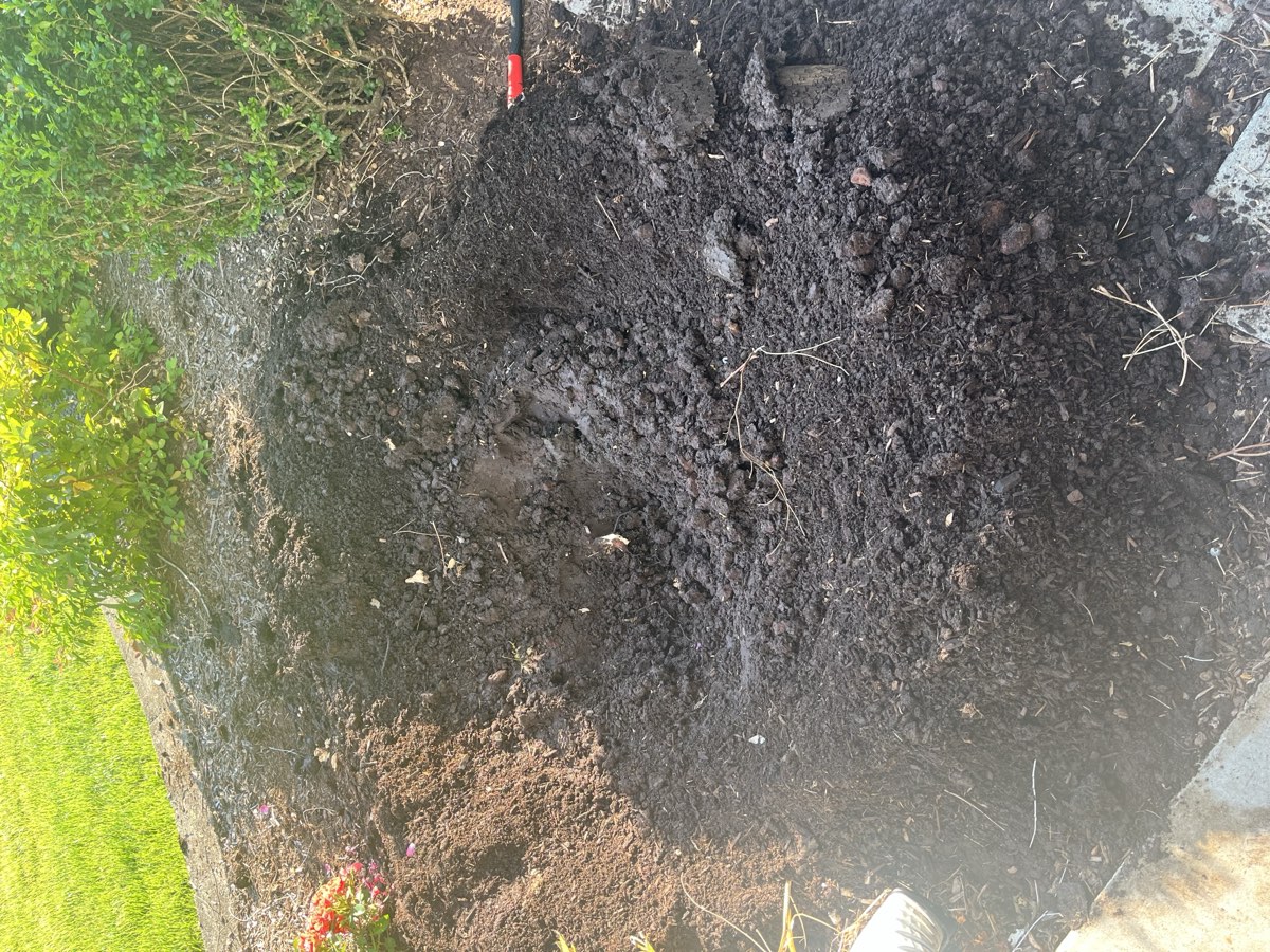 Cleared shrub bed after removal photo 2