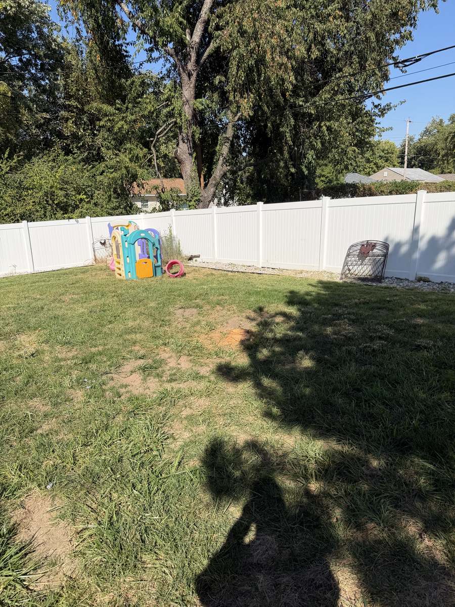 Cleared backyard after brush and tree removal photo 2