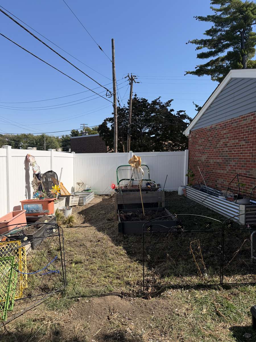 Full view of cleared backyard and fence line after brush and tree removal photo 4