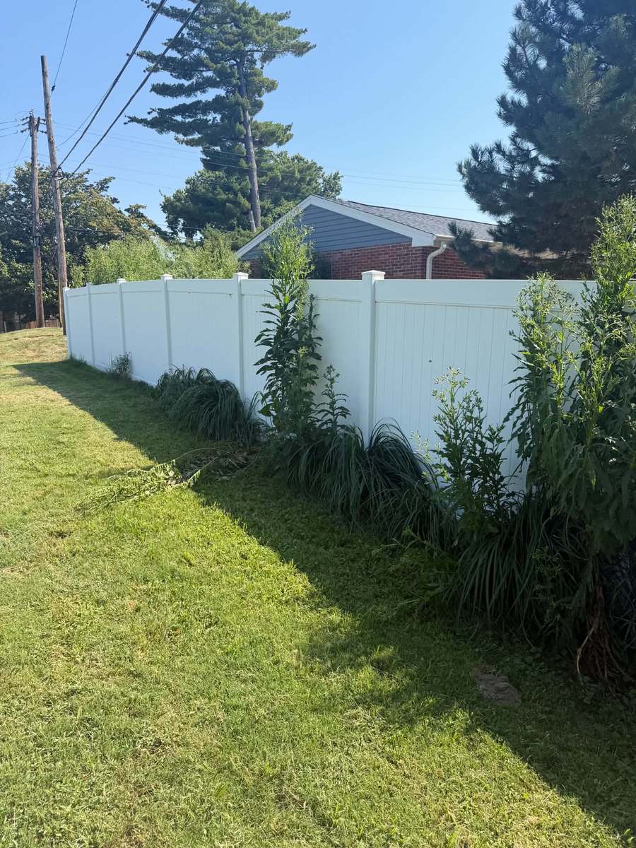Overgrown brush and weeds along white vinyl fence before removal photo 2